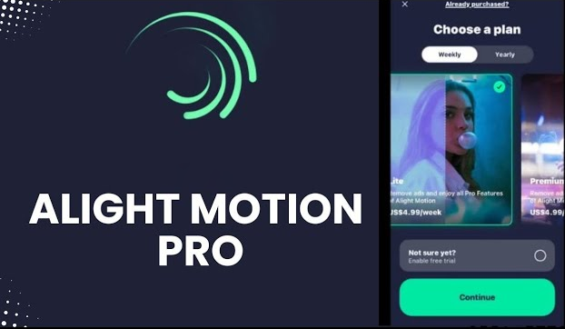 ซื้อ ALIGHT-MOTION ราคาถูก | ส่งทันที มีประกัน - OTP24HR